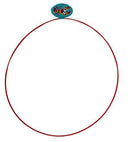 Water Sports 81055-7 Swim Thru Rings Assorted Pack