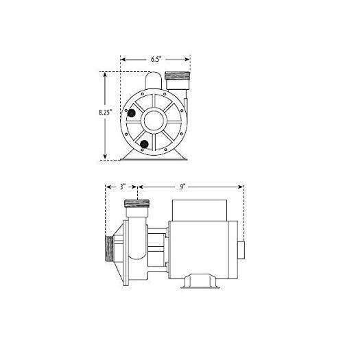 Waterway Plastics 806105066381 3410020-1E