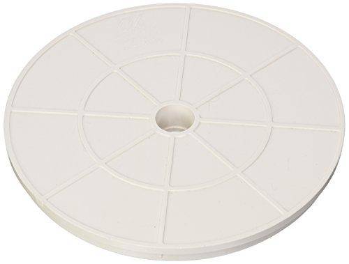 Waterway Plastics 806105094452 White Front Access Lid