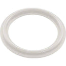 Waterway Plastics 806105124593 2" Heater O-Ring/Gasket