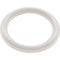 Waterway Plastics 806105124593 2" Heater O-Ring/Gasket