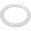 Waterway Plastics 806105124593 2" Heater O-Ring/Gasket