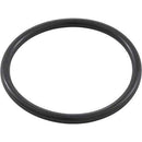 Waterway Plastics 806105129581 Gasket 2" Coupling Clearwater