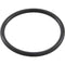 Waterway Plastics 806105129581 Gasket 2" Coupling Clearwater