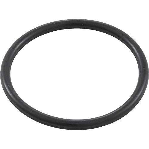 Waterway Plastics 806105129581 Gasket 2" Coupling Clearwater