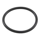 Waterway Plastics 806105129581 Gasket 2" Coupling Clearwater