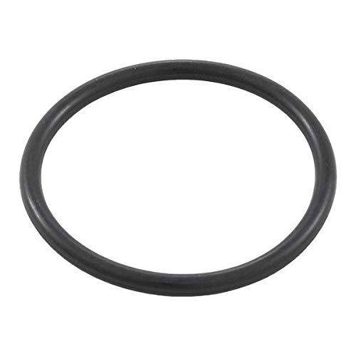 Waterway Plastics 806105129581 Gasket 2" Coupling Clearwater