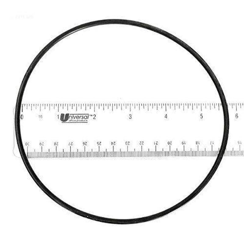 Waterway Plastics 806105129703 Lid O-Ring