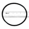 Waterway Plastics 806105129826 6" Trap Lid O-Ring