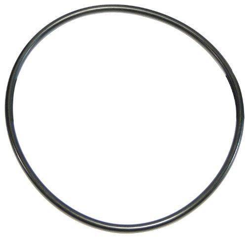 Waterway W13073 Oring for 2 Piece Lckng Ring Cap Replacement