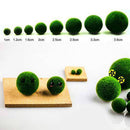 WSDJ Mini Aquarium Plant Fish Tank Shrimp Nano Seaweed Ball for Marimo Moss Balls Fish Tank Ornament Decoration