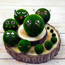 WSDJ Mini Aquarium Plant Fish Tank Shrimp Nano Seaweed Ball for Marimo Moss Balls Fish Tank Ornament Decoration