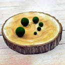 WSDJ Mini Aquarium Plant Fish Tank Shrimp Nano Seaweed Ball for Marimo Moss Balls Fish Tank Ornament Decoration