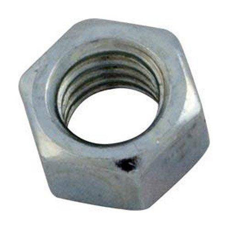 Zodiac F0003100+ 3/8-16 Header Hex Nut Replacement for Select Zodiac Jandy Lite2 Pool and Spa Heaters