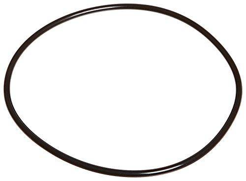 Zodiac Pool Systems R0536600 Back Plate O-Ring for Swimming Pool