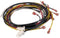 Zodiac R0302700 Ignition Control Wire Harness Set Replacement for Zodiac Jandy Hi-E2 Pool and Spa Heater