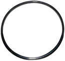 Zodiac R0412700 2-Inch Black O-Ring Replacement for Zodiac AquaPure Water Purification System