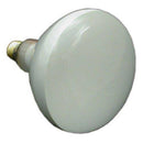 Zodiac R0450501 12-Volt/100-Watt Lamp Replacement for Select Zodiac Jandy Pool and Spa White Incandescent Light