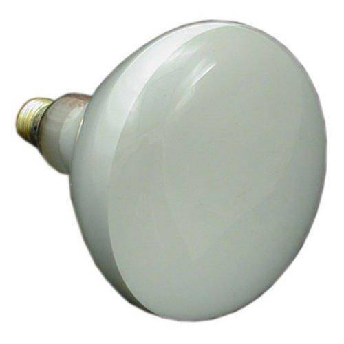 Zodiac R0450502 120-Volt/300-Watt Lamp Replacement for Select Zodiac Jandy Pool Large White Incandescent Light