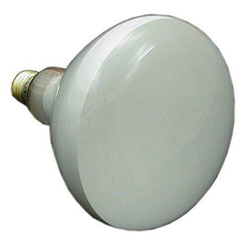 Zodiac R0450505 120-Volt/100-Watt Lamp Replacement for Select Zodiac Jandy Spa Small White Incandescent Light