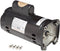 Zodiac R0479309 2.5-HP 2-Speed Motor Replacement for Zodiac Jandy Stealth PlusHP Series Pumps