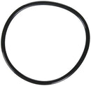 Zodiac R0480200 Lid O-Ring Replacement for Zodiac Jandy FloPro FHPM Series Pump