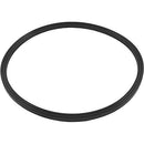 Zodiac R0487400 Lid Seal Replacement for Zodiac Jandy JS Series Sand Filters