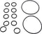 Zodiac R0552400 O-Ring Replacement Kit for Select Zodiac Never Lube Backwash Valve