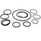 Zodiac R0556500 O-Ring Set44; Complete 7