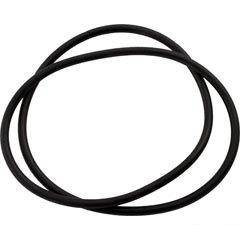 Zodiac R0557900 Cj Tank O-Ring