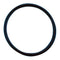 Zodiac W150131 LM2 O-Ring
