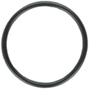 Zodiac W151201 Nature2 O-Ring Replacement