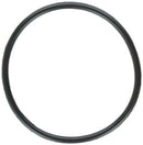 Zodiac W151211 Electrode O-Ring Replacement